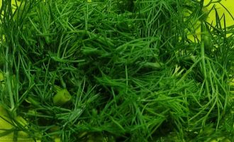Пошаговый рецепт салата из капусты